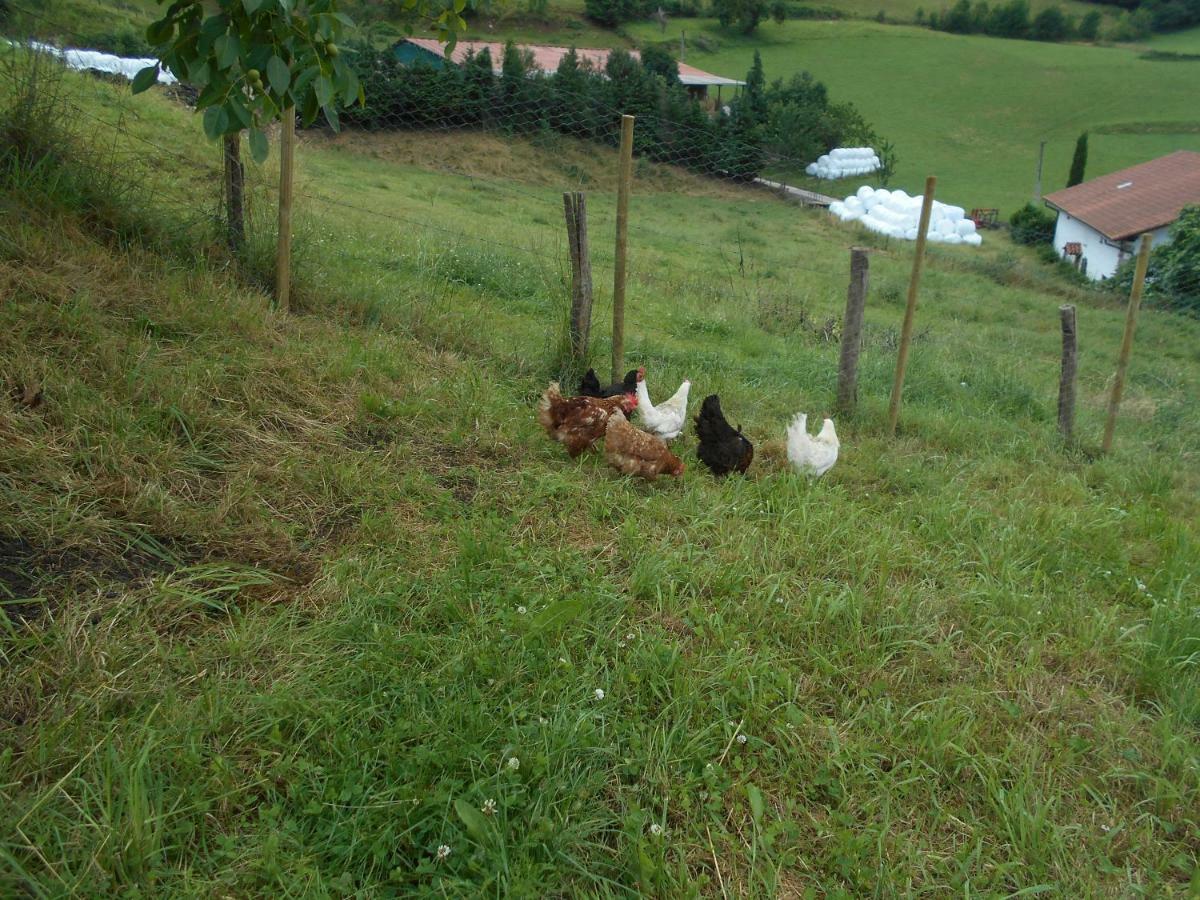 Casa Rural Juankonogoia Urrotz Zewnętrze zdjęcie